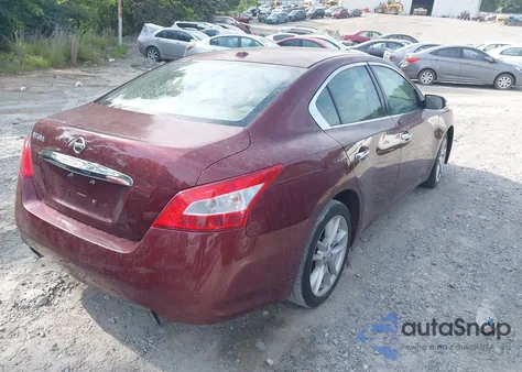 2010 Nissan Maxima 3.5 Sv from USA, damaged, VIN 1N4AA5AP0AC860318